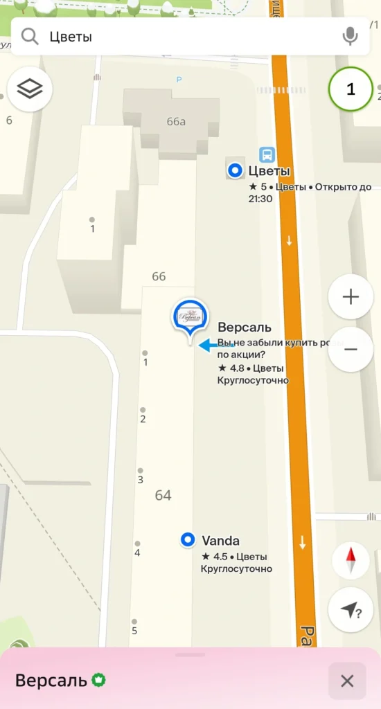 Скриншот 2ГИС отображение на карте платная реклама