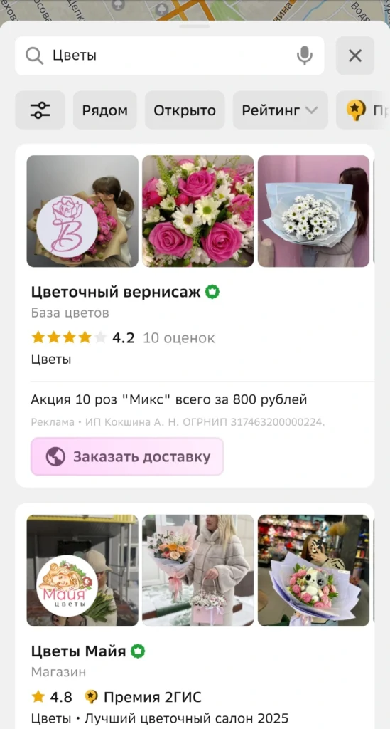 Скриншот 2ГИС поисковая выдача