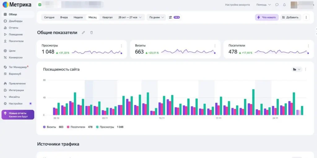 Скриншот Яндекс Метрика